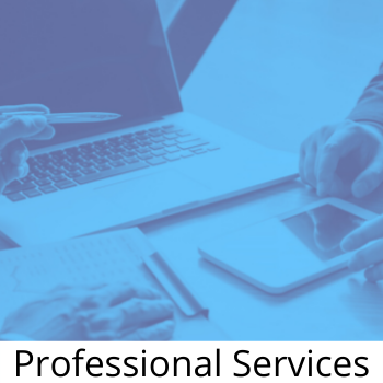 consultancy - professional services